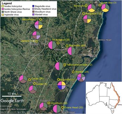 Unbiased Characterization of the Microbiome and Virome of Questing Ticks